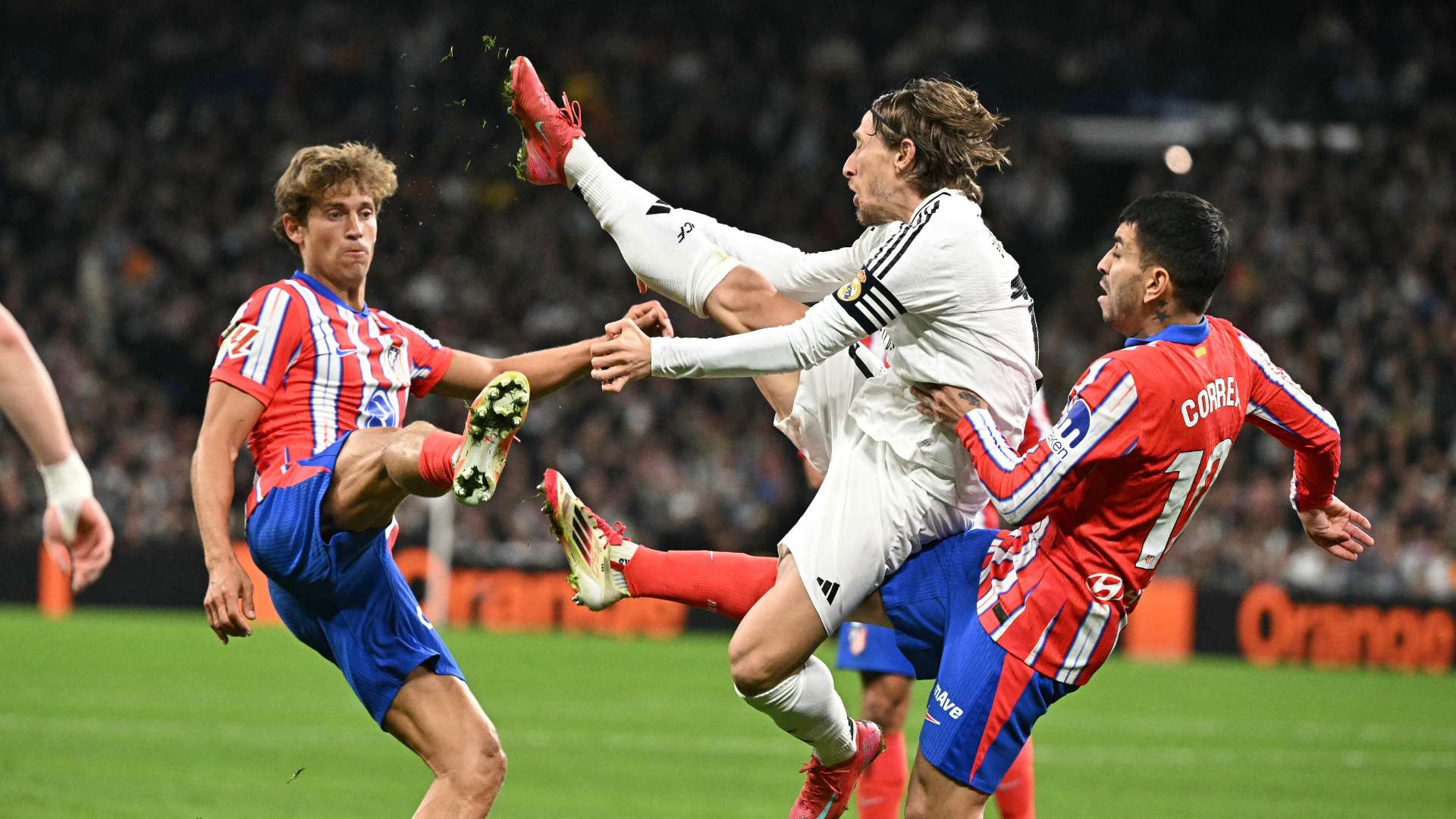 观众的阵阵 观众的阵阵