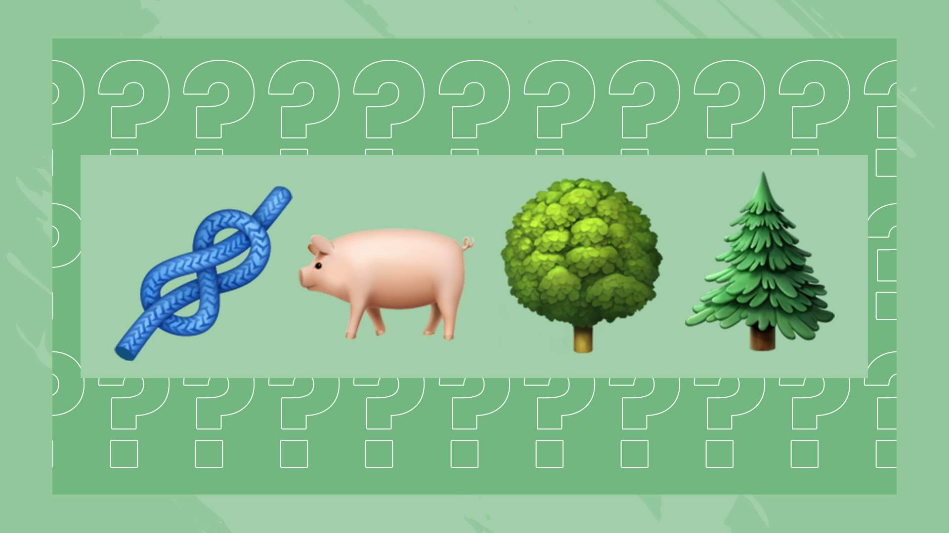 的热情了 的热情了